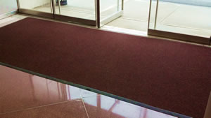 OmniTrac Entrance Mat - Hotel Lobby Interior Usage Photograph OmniTrac Entrance Mat - Hotel Lobby Interior Usage Photograph