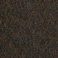 Robinson Designer Carpet Tile Swatch