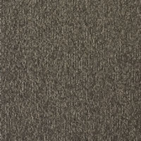 Phoenix Designer Carpet Tile Swatch