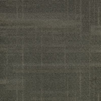 Disclose Designer Carpet Tile Swatch