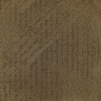 Networked Designer Carpet Tile Swatch