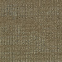 Alder Designer Carpet Tile Swatch