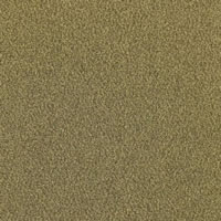 Olive Wood Designer Carpet Tile Swatch