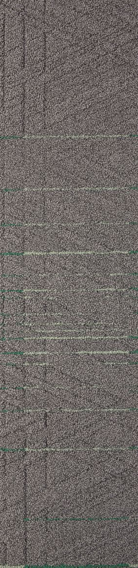 Compass Designer Carpet Tile Swatch