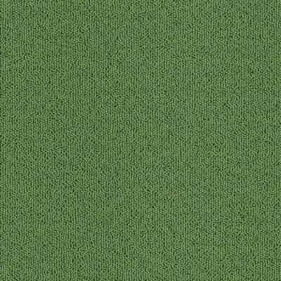 Parrot Designer Carpet Tile Swatch