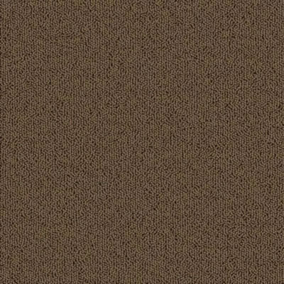 Praline Designer Carpet Tile Swatch
