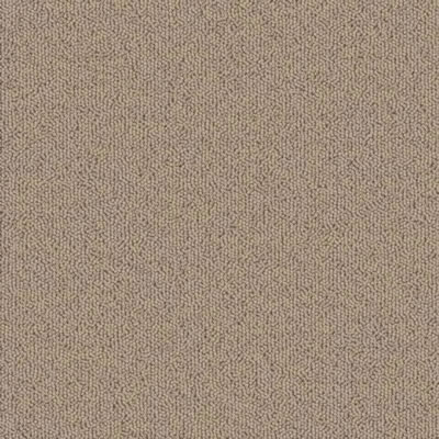 Tan Designer Carpet Tile Swatch