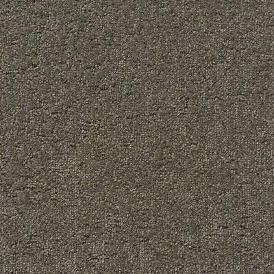 Saguaro Designer Carpet Tile Swatch